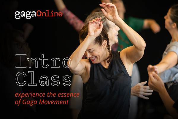 Gaga Online intro classes